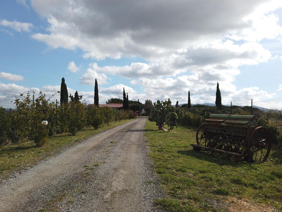 Locanda le Mandriane Albinia Exterior foto
